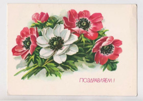 СРСР СССР ^/--/^ ПОЗДРАВЛЯЕМ  ДМПК 1990 - 1991 г.  КУРТЕНКО  чистая  ^_^^^ Вітаємо ДМПК 1990 - 1991 р. Куртенко чиста - фото фото фото