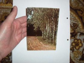 СРСР СССР ^/--/^ Березки. Литва - фото фото фото