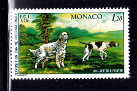 Фауна Фауна ^/--/^ Фауна . Монако 1979 г   MNH  - английский сеттер и пойнтер ^_^^^ Монако 1979 MNH - англійський сеттер і пойнтер - фото фото фото