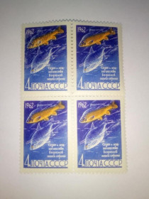 СРСР - СССР - ^/--/^ СССР 1962 г. РЫБЫ. САЗАН И ЛЕЩ (4 коп), квартблок, Сол. 2732, чистые, с клеем, без наклеек. ^_^^^ СРСР 1962 р. Риби. САЗАН І ЛЕЩ (4 коп), квартблок, Сол. 2732, чисті, з клеєм, без наклейок. - фото фото фото