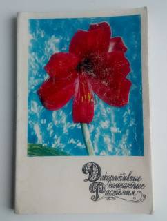СРСР СССР ^/--/^ Декоративные комнатные растения -1974, Набор открыток  Фото В. Тихомирова. ^_^^^ Декоративні кімнатні рослини -1974, Набір листівок Фото В. Тихомирова. - фото фото фото