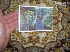 СРСР СССР ^/--/^ Лесная река Худ.А.Рылов_1967 /--/ г. ^_^^^ Лісова річка Худ.А.Рилов_1967 /--/ р. - фото фото фото