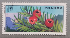 Флора Флора ^/--/^ Польша 1975 г - 100 лет организации горных гидов. Туризм в Польше. Тисс ягодный  (Táxus baccáta) ^_^^^ Польща 1975 - 100 років організації гірських гідів. Туризм у Польщі. Тис ягідний (Táxus baccáta) - фото фото фото