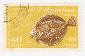 Румунія Румыния ^/--/^ Румыния 1960 г №  1941 гашеная ^_^^^ Румунія 1960 р. No 1941 гашена - фото фото фото