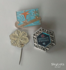 Інше Другое ^/--/^ ЗНАЧОК З Новим роком С Новым Годом Снежинка Сани ^_^^^ З Новим роком з Новим роком Сніжинка Сані - фото фото фото