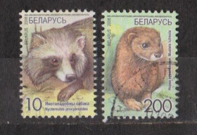 Білорусь Беларусь ^/--/^ ФАУНА - ЗВІРІ = марки  2008 р. =  БІЛОРУСЬ = гаш.  + ^_^^^ ФАУНА - ЗВИРИ = марки 2008 г. = Белорусь = гаш. + + - фото фото фото