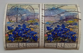 СРСР - СССР - ^/--/^ СССР 1976 Горечавка угловатая, цветы, сцепка, гашеная ^_^^^ СРСР 1976 Горечавка вуглевата, квіти, зчіпка, гашена - фото фото фото