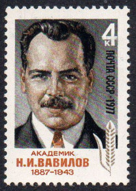 СРСР - СССР - ^/--/^ СРСР 1977 – 90 років від дня народження Н.І. Вавілова ** ^_^^^ СССР 1977 - 90 лет со дня рождения Н.И. Вавилова ** - фото фото фото