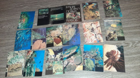 СРСР СССР ^/--/^ Набор открыток В мире караловых рифов 14 /--/ шт 1985 /--/ г. ^_^^^ У світі каралових рифів 14 /--/ шт 1985 /--/ р. - фото фото фото
