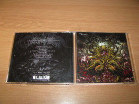 Музичні диски Музыкальные диски ^/--/^ INGESTED - Surpassing The Boundaries   (2009 Siege Of Amida 1 /--/ st press,UK) ^_^^^ INGESTED - Surpassing The Boundaries (2009 Siege Of Amida 1 /--/ st press,UK) - фото фото фото
