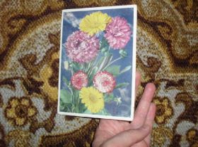Іноземні Иностранные ^/--/^ Цветы. Германия лот 2 ^_^^^ Квіти. Німеччина лот 2 - фото фото фото