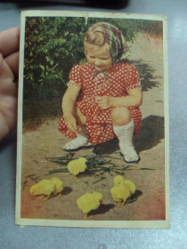 СРСР СССР ^/--/^ открытка маленькая хозяйка игнатович 1960 №12392 ^_^^^ листівка маленька господиня ігнатович 1960 No /--/ 12392 - фото фото фото