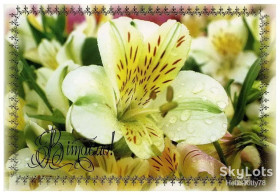 Україна Украина ^/--/^ Украина 2003 флора цветы ХМПК Зак. 3-3222 ^_^^^ Україна 2003 флора квіти ХМПК Зак. 3-3222 - фото фото фото