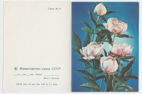СРСР СССР ^/--/^ Цветы телеграмма 1985 Р /--/ 11 ^_^^^ Квіти телеграма 1985 Р /--/ 11 - фото фото фото