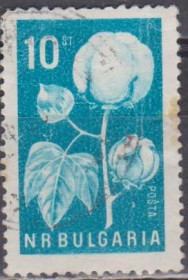 Флора Флора ^/--/^ Болгария Болгарія 1965 флора ^_^^^ Болгария Болгария 1965 флора - фото фото фото