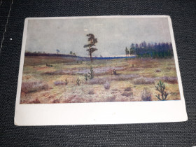 СРСР СССР ^/--/^ Открытка  Белый мог на севере  1957 /--/ г. СССР ^_^^^ Білий міг на півночі 1957 року. СРСР - фото фото фото