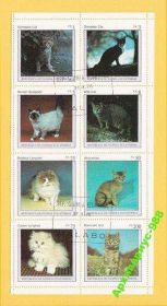 Фауна Фауна ^/--/^ ФАУНА 1976 ЭКВ. ГВИНЕЯ ЛИСТ Кошки Кошка МЛ 8 /--/ м БЛОК ^_^^^ Фауна 1976 ЕКВ. Гвінея Лист Кішки Кішка МЛ 8 /--/ м БЛОК - фото фото фото