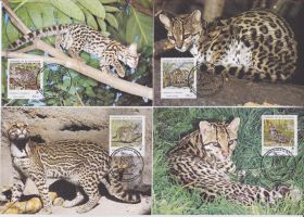 Центральна Америка Центральная Америка ^/--/^ Сальвадор 1988 WWF ДИКИЕ КОШКИ КОШАЧЬИ РЕДКИЕ МЛЕКОПИТАЮЩИЕ ЖИВОТНЫЕ ЭНДЕМИКИ Четыре КМ Mi.1734-1737 ^_^^^ Сальвадор 1988 WWF ДІКІ КІШКИ КОШАЧІ РІДКІ МЛЕКОПИТАЮЧІ ТВОТНІ ЕНДЕМІКИ Чотири КМ Mi.1734-1737 - фото фото фото