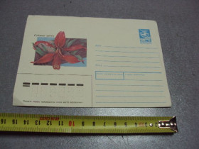 СРСР СССР ^/--/^ конверт ссср садовые цветы спрекелия 1988 панченко №5702 ^_^^^ конверт СРСР садові квіти спрекелія 1988 панченко No /--/ 5702 - фото фото фото