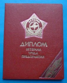 Службові та спеціальні Служебные и специальные ^/--/^ Диплом ветерана труда предприятия Квант док ^_^^^ Диплом ветерана праці підприємства Квант док - фото фото фото