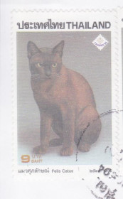 Таїланд Таиланд ^/--/^ Тайланд 1995 ПОРОДИСТАЯ КОШКА КОТ КОШАЧЬИ FELIS CATUS ФАУНА ДОМАШНИЕ ЖИВОТНЫЕ Mi.1652 A гашёная ^_^^^ Таїланд 1995 Породиста кішка Кіт котячі FELIS CATUS Фауна Домашні тварини Mi.1652 A гашена - фото фото фото