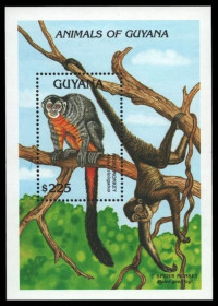 Інше Другое ^/--/^ Гайана Фауна Мирикина Ночная обезьяна 1992 ^_^^^ Гайана Фауна Мірікіна Нічна мавпа 1992 - фото фото фото