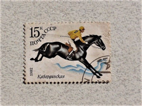 СРСР - СССР - ^/--/^ Поштова марка СССР 1982 рік ^_^^^ Почтовая марка СССР &amp;quot; Коневодство &amp;quot; 1982 год - фото фото фото