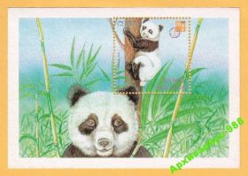 Бутан Бутан ^/--/^ БУТАН 1997 Панда Филвыставка Фауна Животные БЛОК** ^_^^^ 1997 — Панда Філвиставка Фауна Тварини БЛОК - фото фото фото