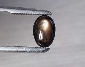 Сапфір Сапфир ^/--/^ Звездчатый сапфир черный  5.63 Ct   11.6 х 8.2 х 4.8 mm ^_^^^ Зірчастий сапфір чорний 5.63 Ct 11.6 х 8.2 х 4.8 mm - фото фото фото