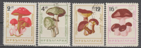 Флора Флора ^/--/^ Болгария Болгарія 1961 флора грибы ^_^^^ Болгария Болгария 1961 флора грибы - фото фото фото