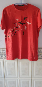 Футболки, майки Футболки, майки ^/--/^ Футболка &amp;quot;French Connection&amp;quot;  (100% cotton, M) б/у ^_^^^ Футболка &amp;quot;French Connection&amp;quot; (100% cotton, M) б/у - фото фото фото