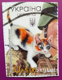 Після  року После  года ^/--/^ Украина 2024 война армия кошки УП 2109 вырезка ^_^^^ Україна 2024 війна армія кішки УП 2109 вирізка - фото фото фото