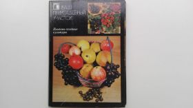 СРСР СССР ^/--/^ Открытки Ваш приусадебный участок. Набор 18 /--/ шт. СССР 1986 /--/ г. ^_^^^ Листівки Ваша присадибна ділянка. Набір 18 /--/ шт. СРСР 1986 /--/ р. - фото фото фото