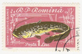 Румунія Румыния ^/--/^ Румыния 1960 г №  1943 гашеная ^_^^^ Румунія 1960 р. No 1943 гашена - фото фото фото