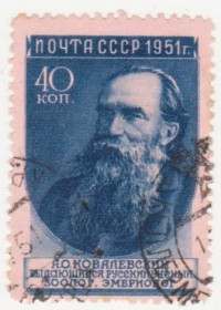 СРСР - СССР - ^/--/^ СССР 1951 г.№ 1360  гашеная ^_^^^ СРСР 1951 р. No 1360 гашена - фото фото фото