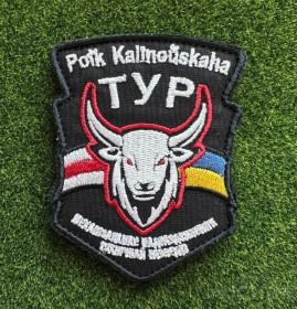 Інше Другое ^/--/^ Шеврон Полк Калиновского № 169 ^_^^^ Шеврон Полк Калиновского No 169 - фото фото фото