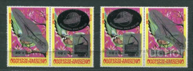 Освоєння космосу Освоение космоса ^/--/^ Тимор Авиация OCCUSSI AMBENO TIMOR 1991 black and silver overprint TYP 1 /--/ MNH ^_^^^ Авіація OCCUSSI AMBENO TIMOR 1991 black and silver overprint TYP 1 /--/ MNH - фото фото фото
