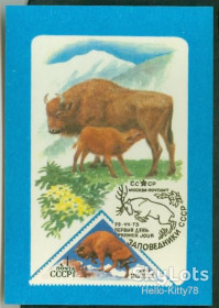 Календарі Календари ^/--/^ СССР 1987 фауна картмаксимум на календарике 1973 СК 4187 ^_^^^ СРСР 1987 фауна картмаксимум на календариці 1973 СК 4187 - фото фото фото