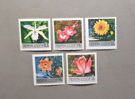 Флора Флора ^/--/^ СССР Флора Цветы 1969 ^_^^^ СРСР Флора Квіти 1969 - фото фото фото