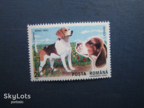 Фауна Фауна ^/--/^ Марка Румунія 1990 фауна собака бігль MNH ^_^^^ Марка Румыния 1990 фауна собака бигль MNH - фото фото фото