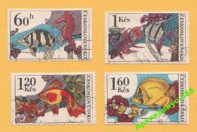 Фауна Фауна ^/--/^ ФАУНА 1975 ЧЕХОСЛОВАКИЯ Животные РЫБЫ Природа МОРЕ ^_^^^ Фауна 1975 Чехословаччина Тварини Риби Природа Море - фото фото фото