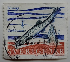 Скандинавія Скандинавия ^/--/^ Швеция 1991 Рыбы, 5,00, гашеная ^_^^^ Швеція 1991 Риби, 5,00, гашена - фото фото фото