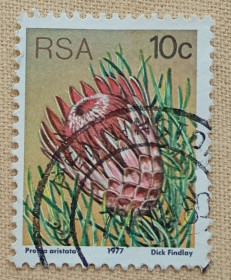 Флора Флора ^/--/^ Южная Африка  1977 г -  Protea aristata  (Протея остистая), гаш ^_^^^ Південна Африка 1977 р. - Protea aristata (Протея остиста), гаш - фото фото фото