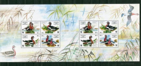 Після  року После  года ^/--/^ Украина 1998 малый лист Красная книга Казарка MNH 880 Последний ^_^^^ 1998 — Червона книга Казарка MNH 880 - фото фото фото