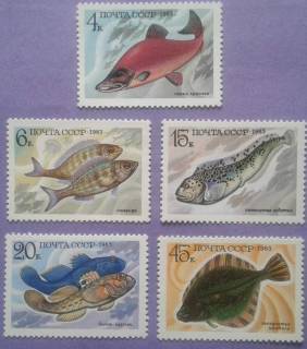 СРСР - СССР - ^/--/^ СССР 1983 фауна промысловые рыбы СК 5346-5350 MNH ^_^^^ СРСР 1983 фауна промислові риби СК 5346-5350 MNH - фото фото фото