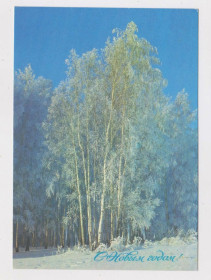 СРСР СССР ^/--/^ З НОВИМ РОКОМ - С НОВЫМ ГОДОМ = ДМПК 1988 р. = БОГДАНОВ = чиста  &amp; ^_^^^ З НОВИМ РОКОМ - З НОВИМ РОКОМ = ДМПК 1988 р. = БОГДАНОВ = чиста &amp; - фото фото фото