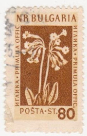 Балканський півострів Балканский полуостров ^/--/^ Болгария 1953 г № 873 гашеная ^_^^^ Болгарія 1953 р. No 873 гашена - фото фото фото