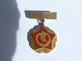СРСР СССР ^/--/^ Медаль за свободу от нацизма Чешского соц . братства. ^_^^^ Медаль за свободу від нацизму Чеського соціального братства. - фото фото фото