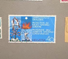 Фауна Фауна ^/--/^ Швейцария Фауна 1972 ^_^^^ Швейцарія Фауна 1972 - фото фото фото