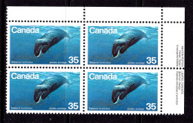 Фауна Фауна ^/--/^ NM  Канада 1979 г  MNH  - квартблок - «Исчезающие виды животных» , гренландский кит - ^_^^^ NM Канада 1979 р MNH - квартблок - «Зникаючі види тварин», гренландський кит - - фото фото фото